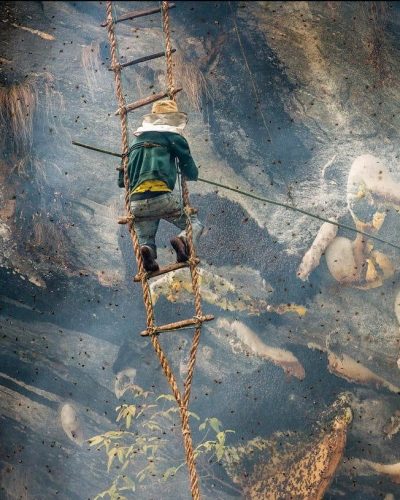 Real Made Honey Honig 3000 aus Nepal