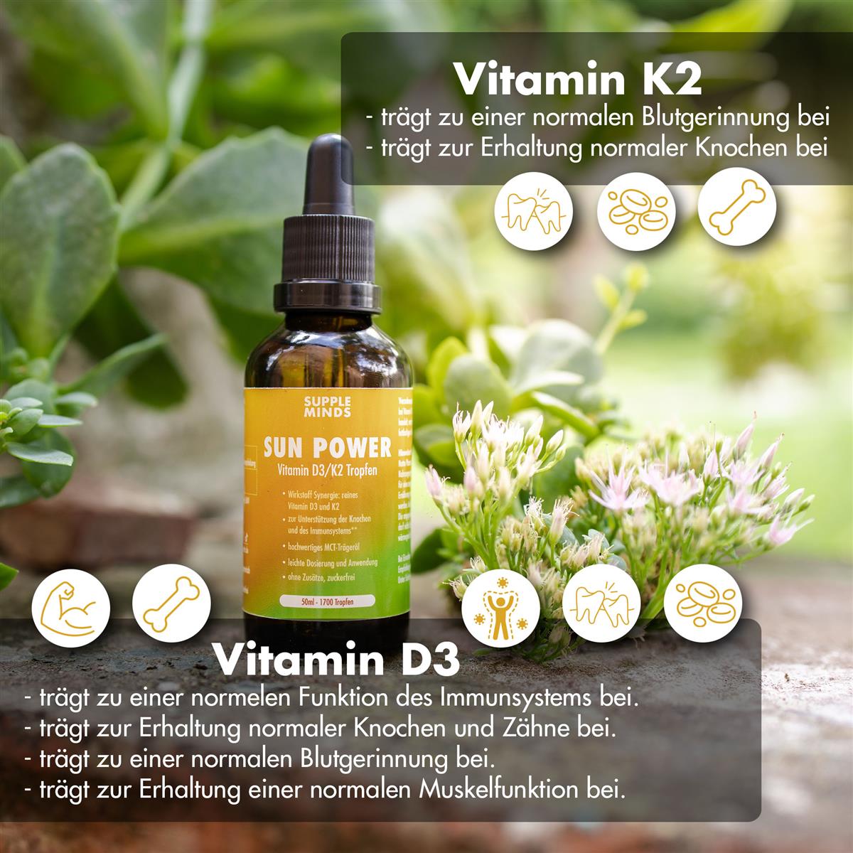 Sun Power Vitamin K2 / D3 Tropfen