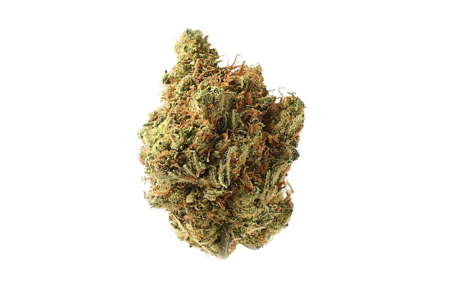 Amsterdam Genetics - Amnesia Haze (5 seeds pack)