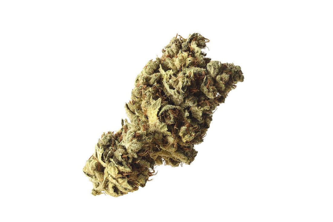 Amsterdam Genetics - Pineapple Kush (5 seeds pack)