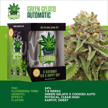 Royal Queen Seeds Green Gelato IGrowCan Growing Kit