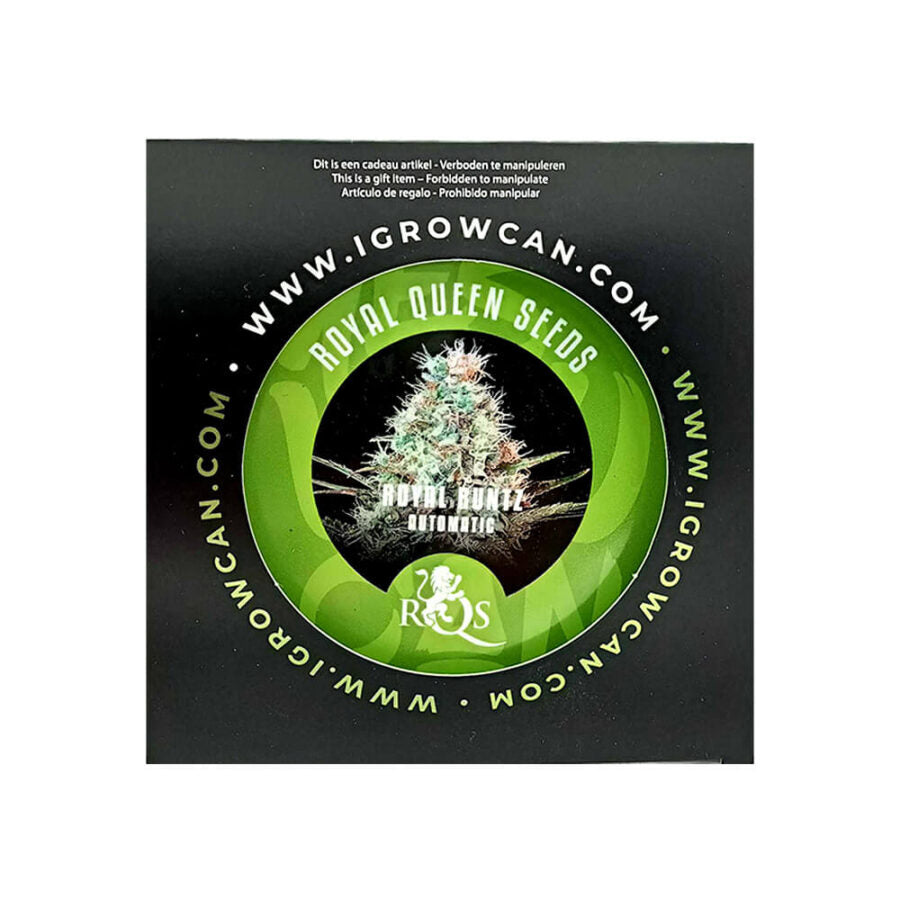 Royal Queen Seeds Royal Runtz IGrowCan Growing Kit