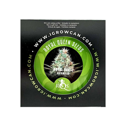 Royal Queen Seeds Royal Runtz IGrowCan Growing Kit