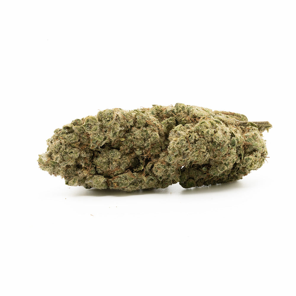 Hempodia 10-OH-HHC Blüten 2g Northern Lights