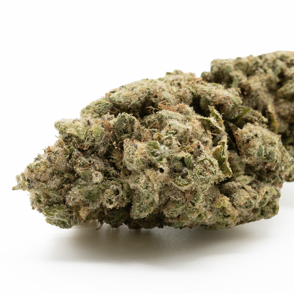 Hempodia 10-OH-HHC Blüten 2g Northern Lights