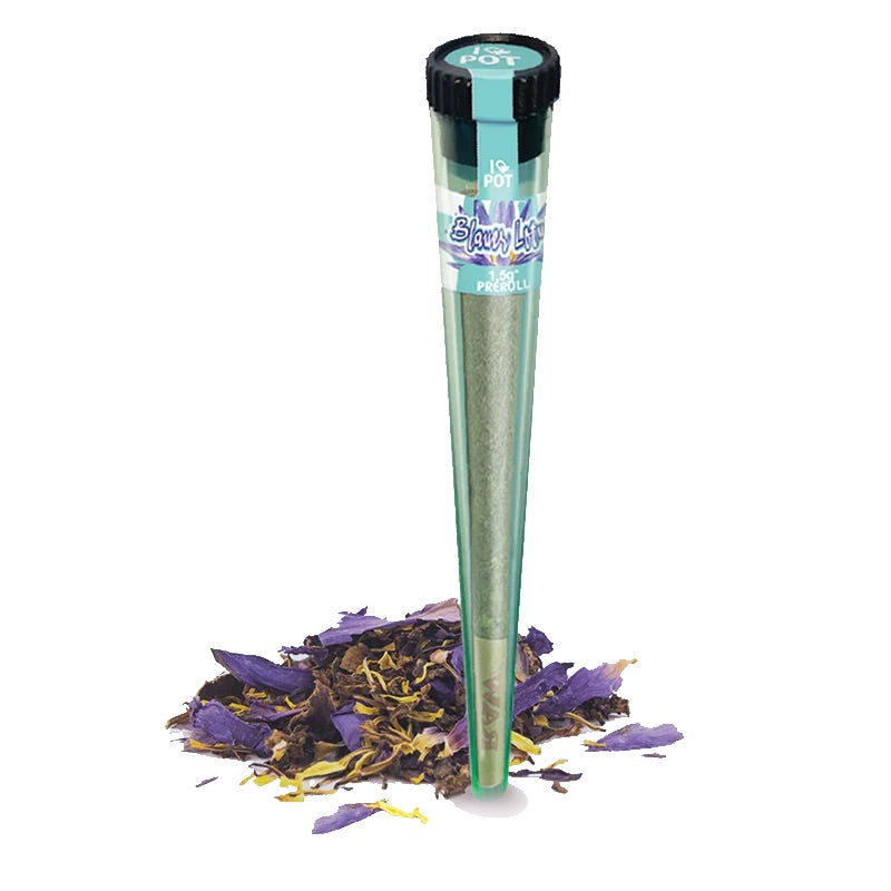 ILovePot Blauer Lotus R