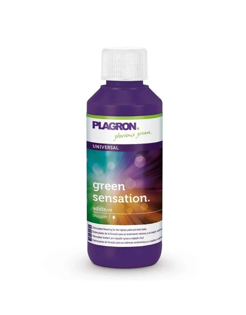 Plagron Dünger Green Sensation, 100ml