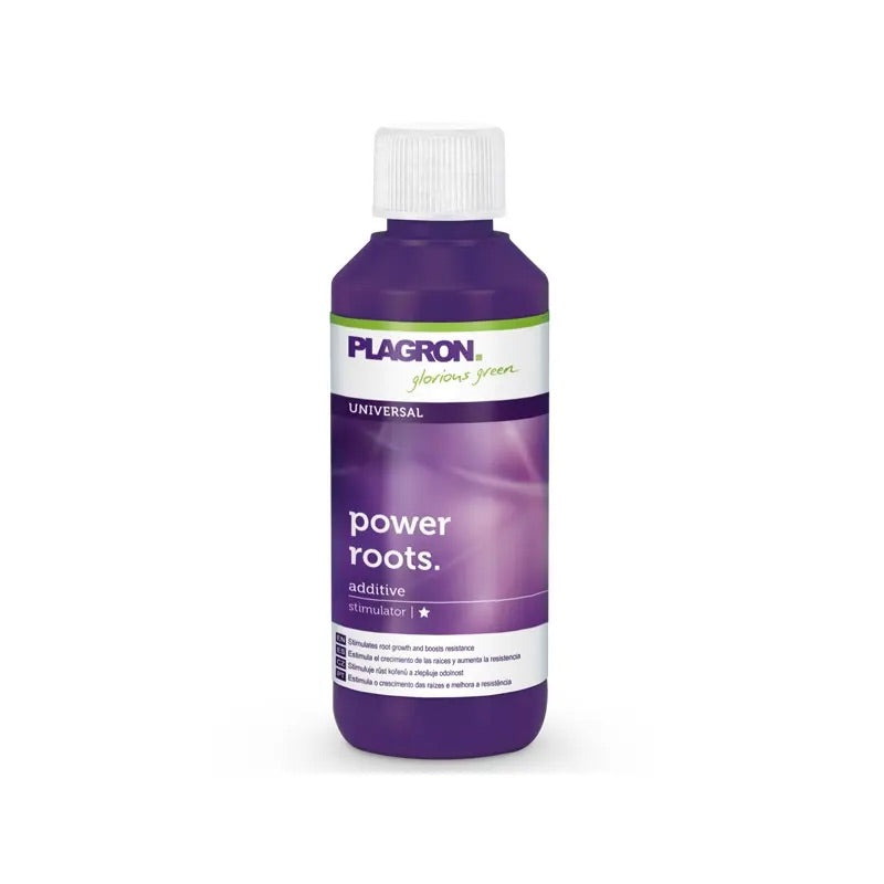 Plagron Dünger Power Roots, 100ml