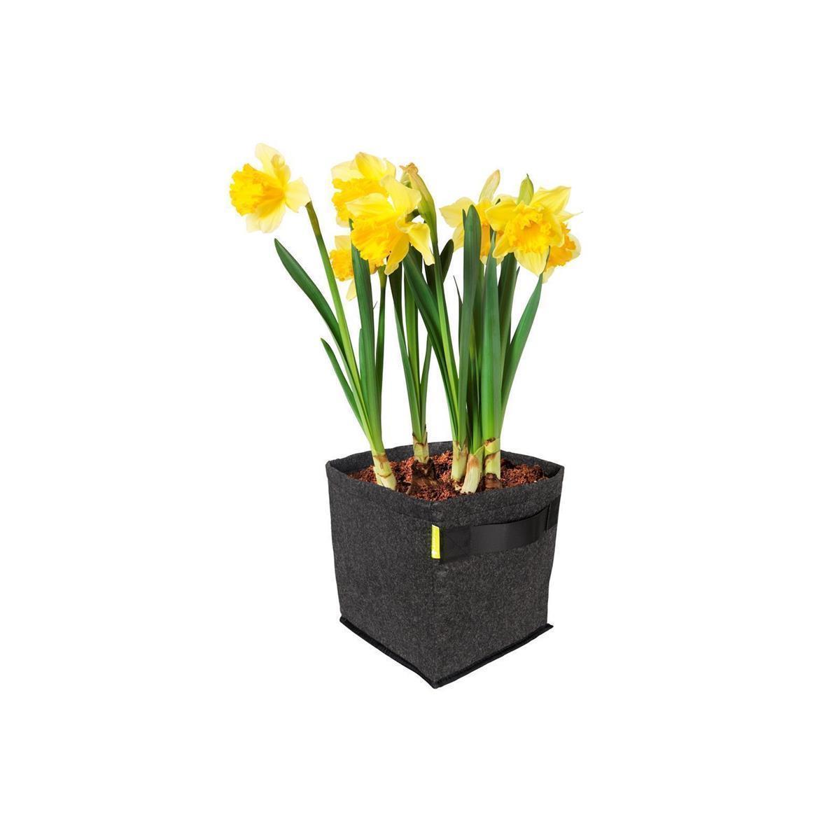 Pflanzsack | 15 Liter | mit Griffen | Propot | Garden Highpro