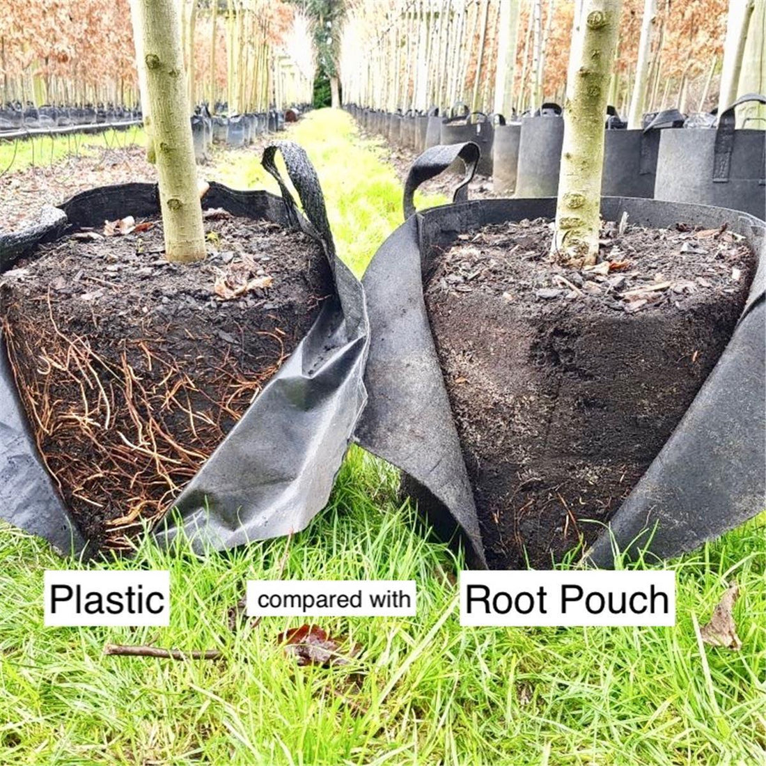 Pflanzsack | 39 Liter | schwarz | mit Griffen | Root Pouch