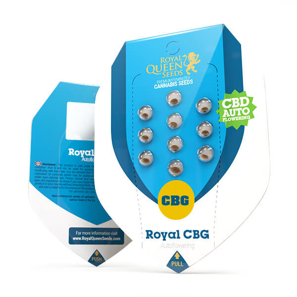 Royal Queen Seeds Samen Royal CBG Auto (3 Samen)