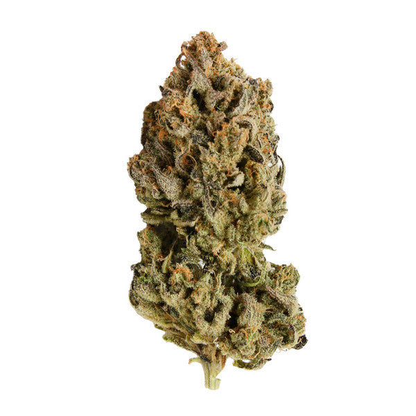 Royal Queen Seeds Samen CBD Royal Highness feminisiert (3 Samen)